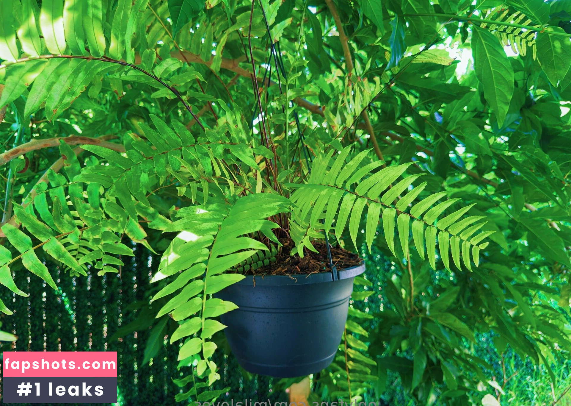 milaloves Filtración Desnuda OnlyFans Foto #23 - Fapshots