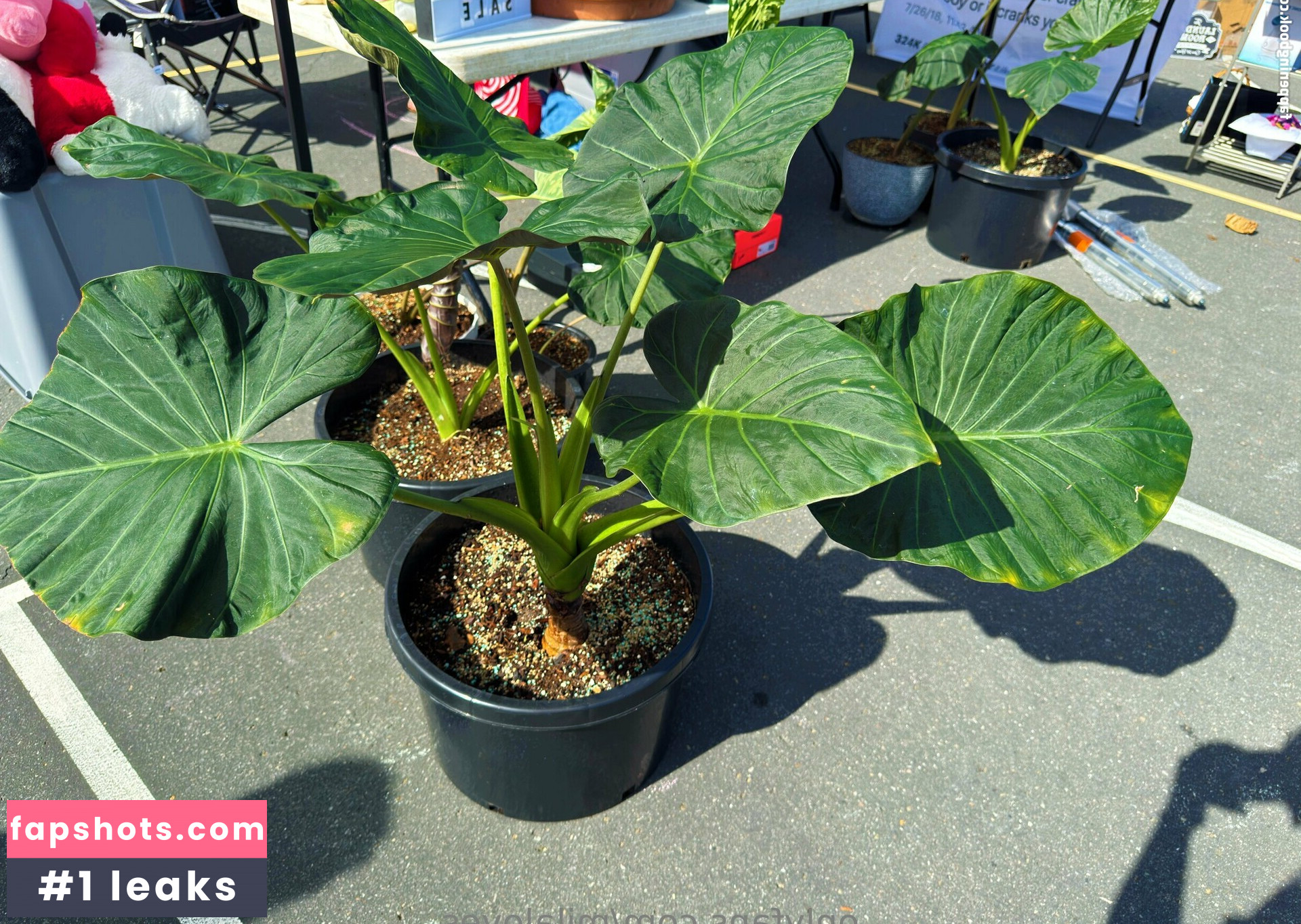 milaloves Filtración Desnuda OnlyFans Foto #5 - Fapshots