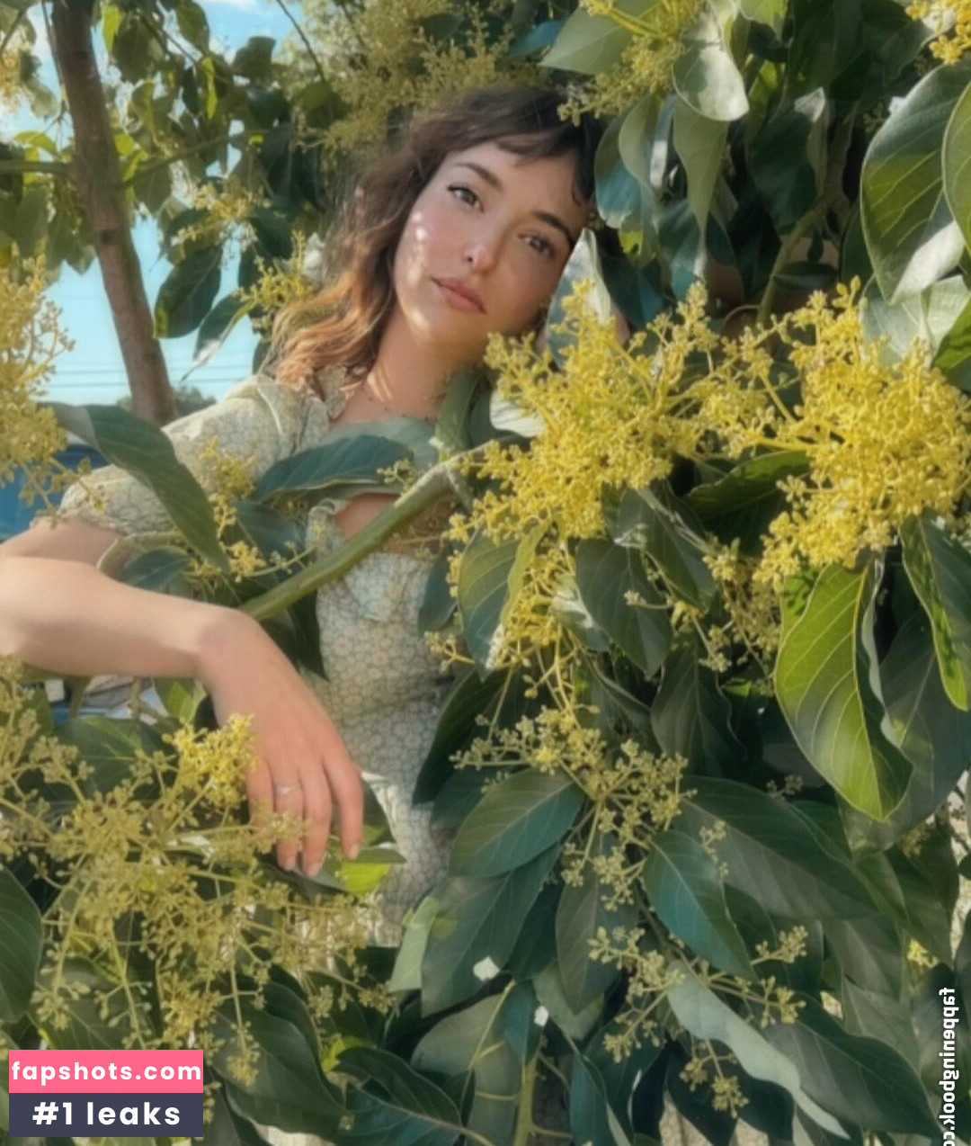 Milana Vayntrub gallery photo #206