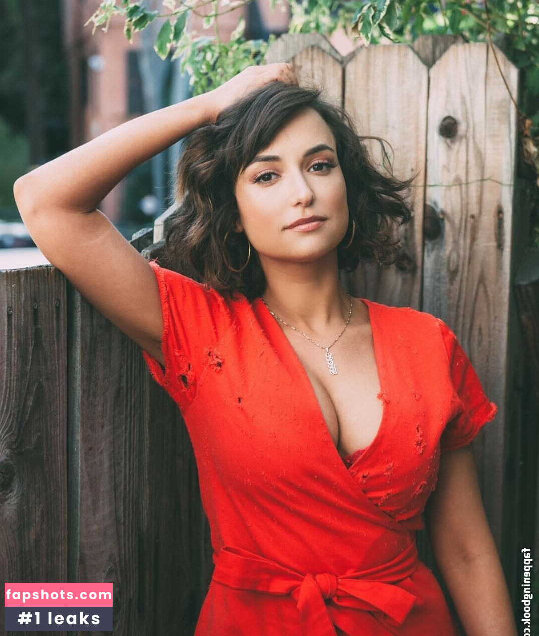 Milana Vayntrub gallery photo #402