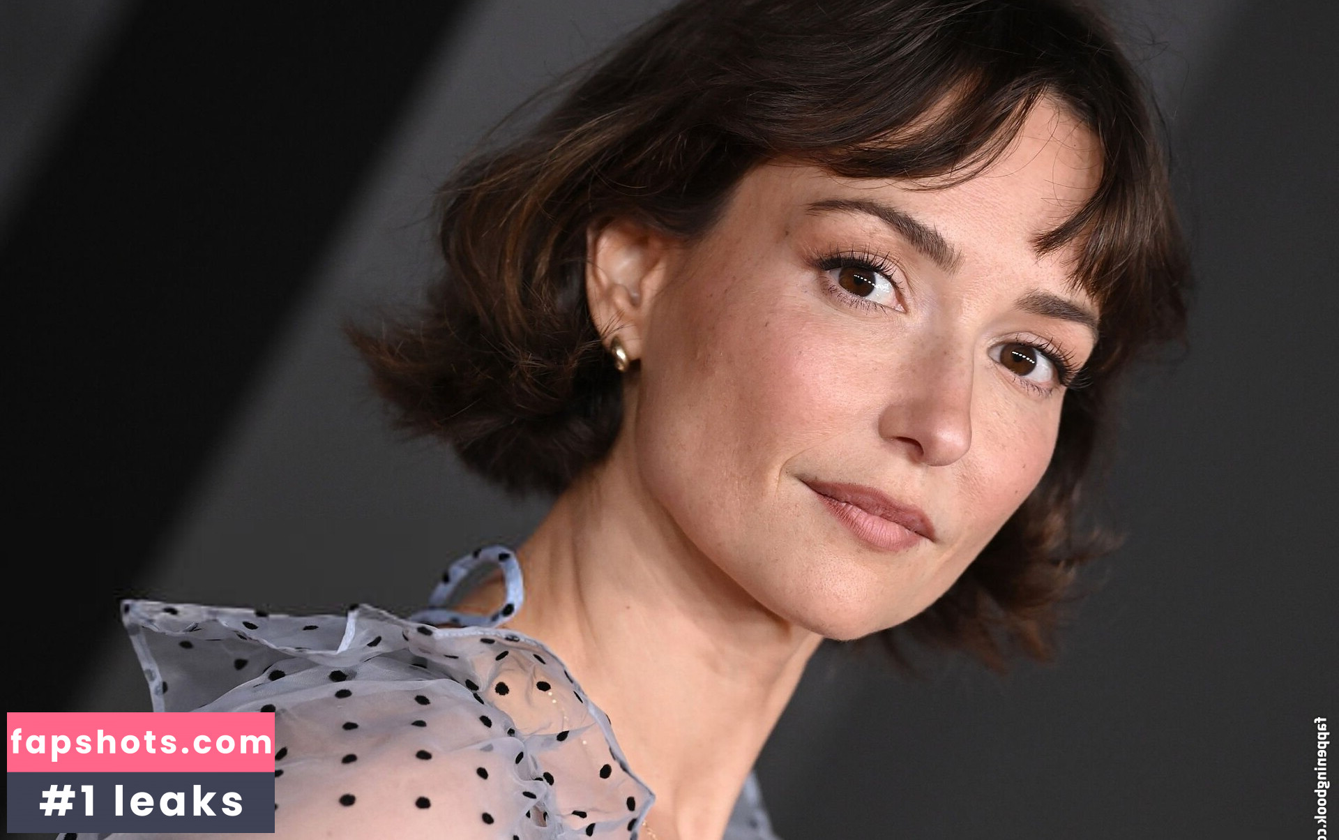 Milana Vayntrub gallery photo #42