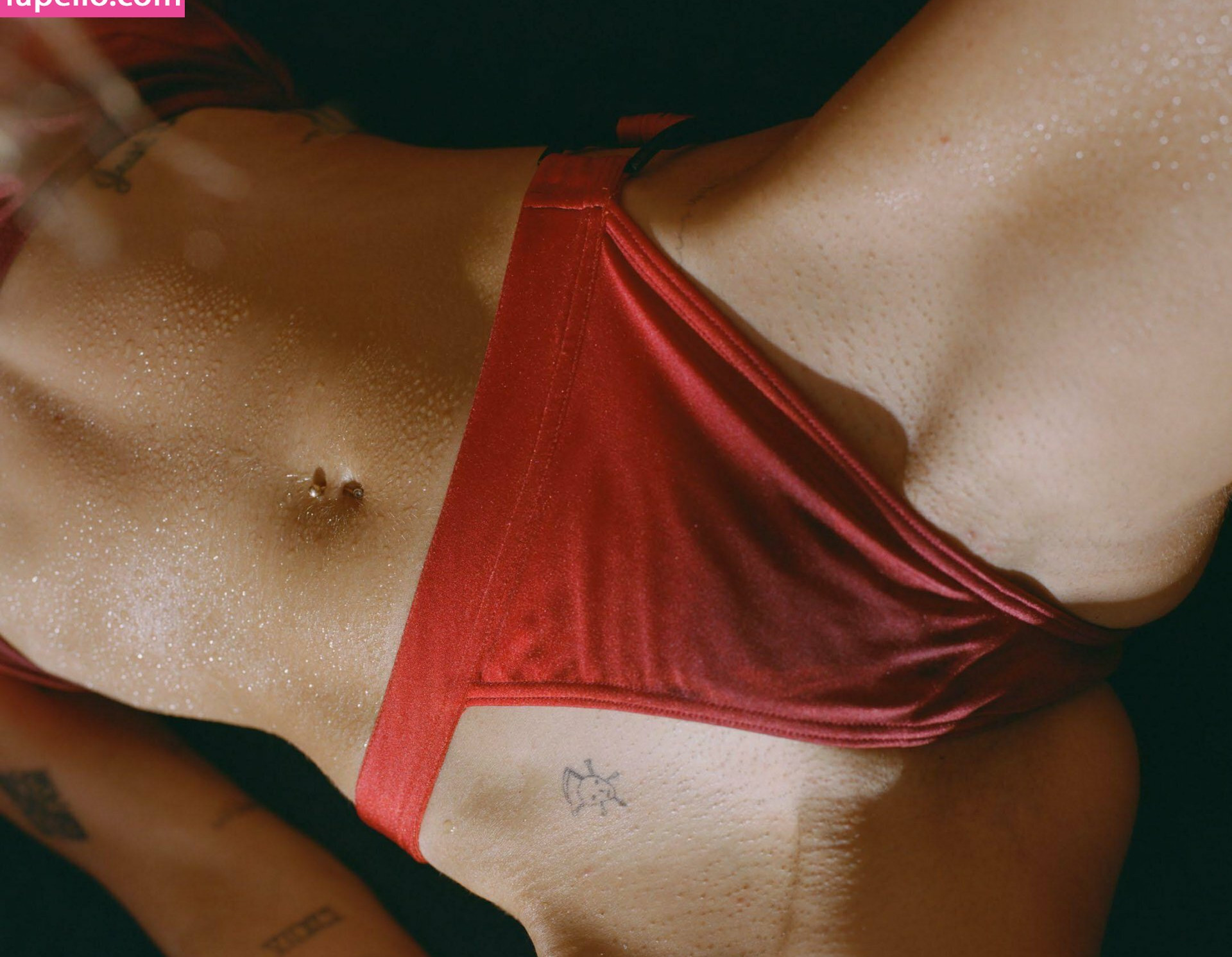 miley-cyrus gallery photo #1252