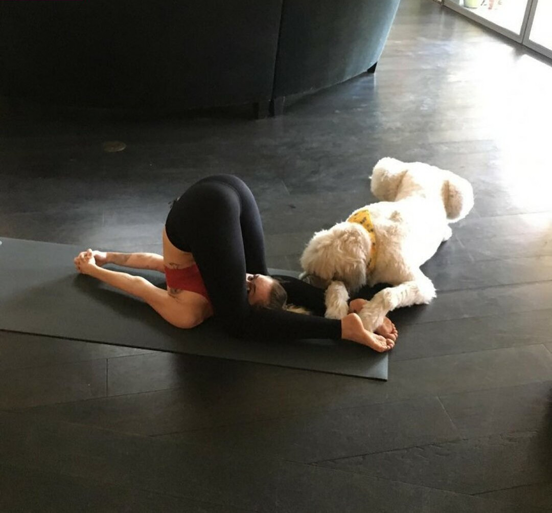 miley-cyrus gallery photo #1299