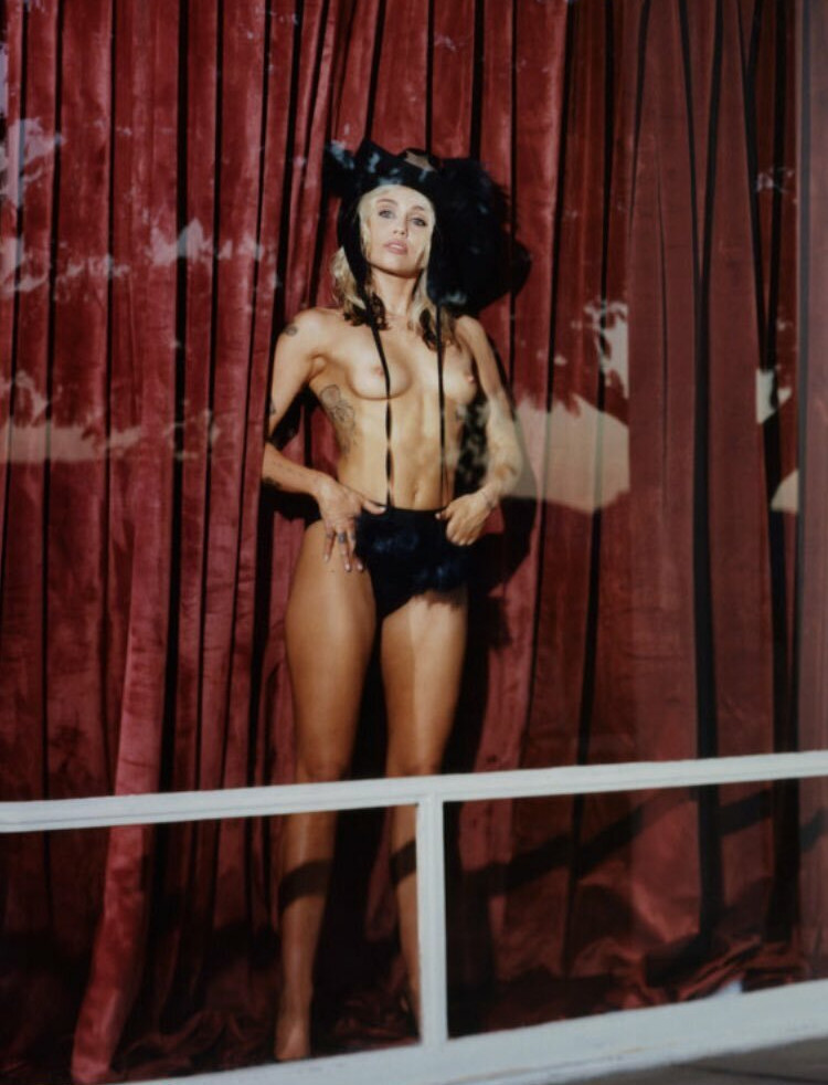 miley-cyrus gallery photo #1529