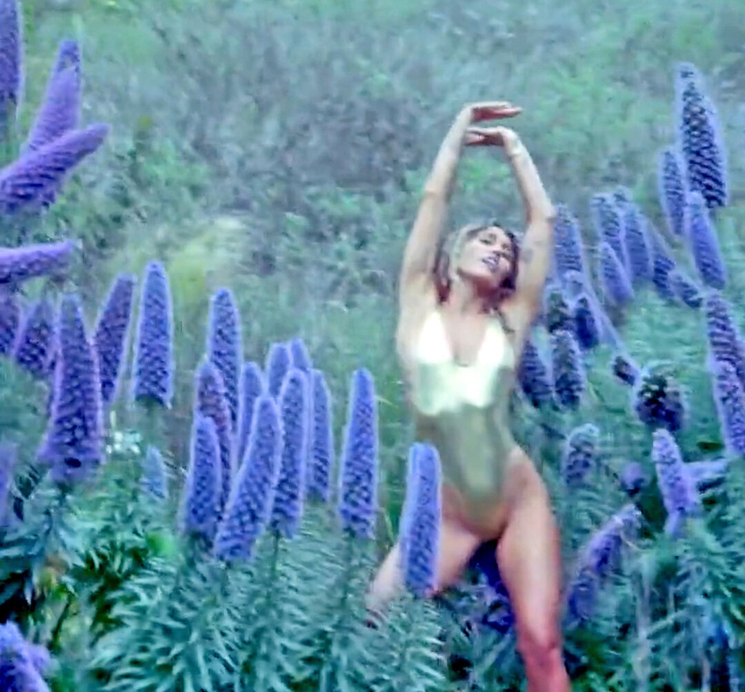 miley-cyrus gallery photo #1560