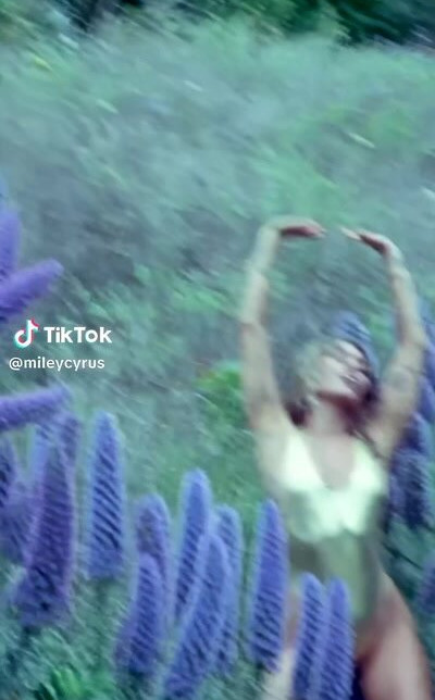 miley-cyrus gallery photo #1564