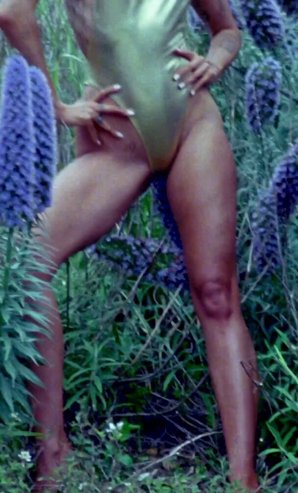 miley-cyrus gallery photo #1571