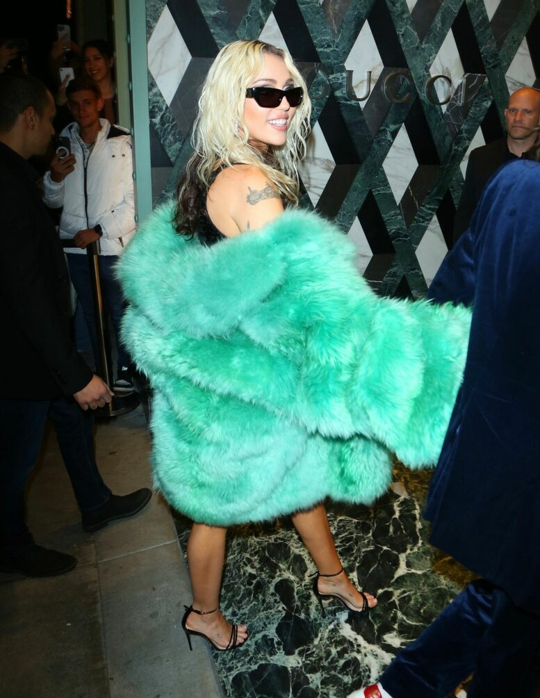 miley-cyrus gallery photo #1625