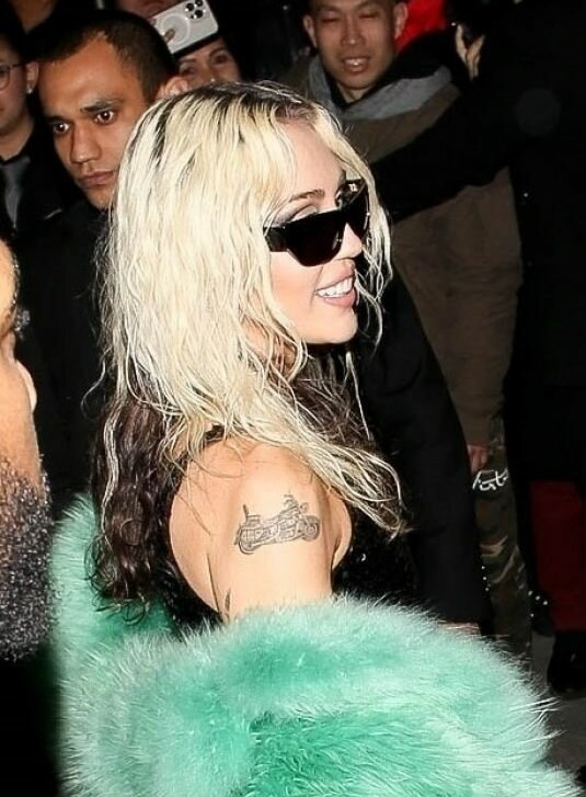 miley-cyrus gallery photo #1630