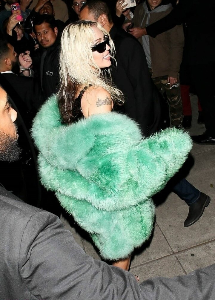 miley-cyrus gallery photo #1633