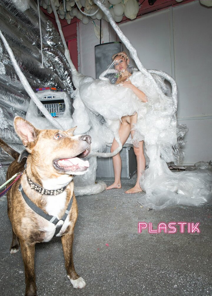 miley-cyrus gallery photo #2219