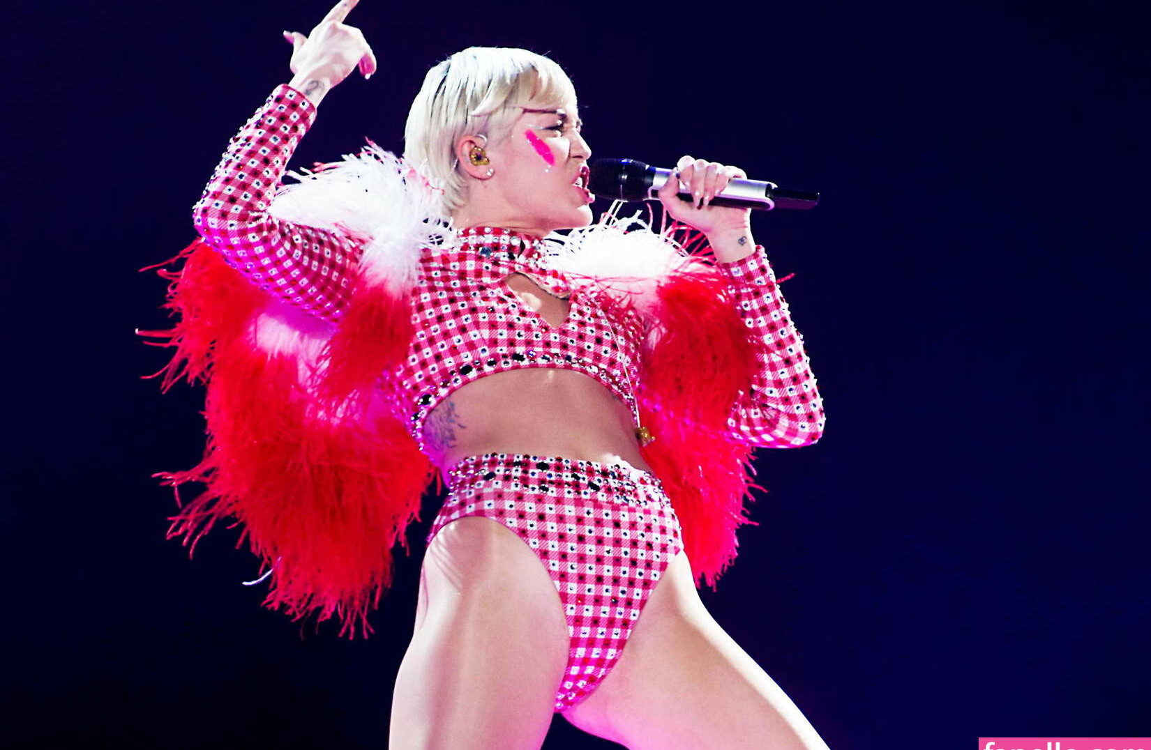 miley-cyrus gallery photo #2244