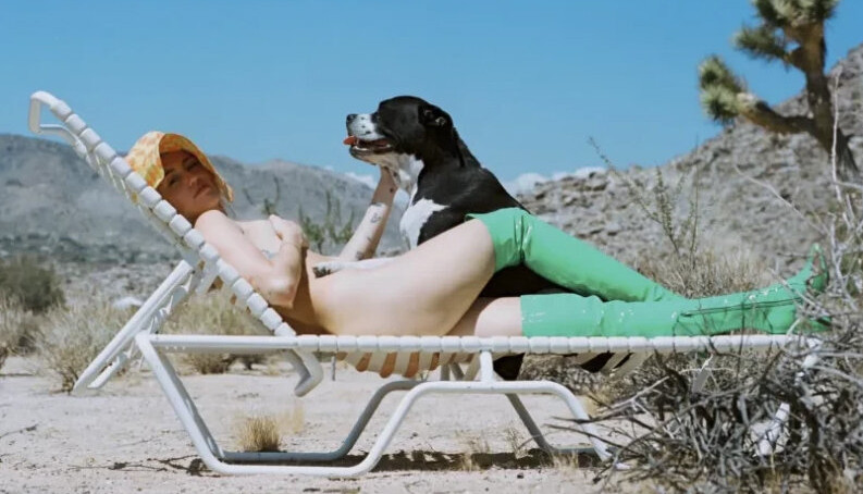 miley-cyrus gallery photo #2255