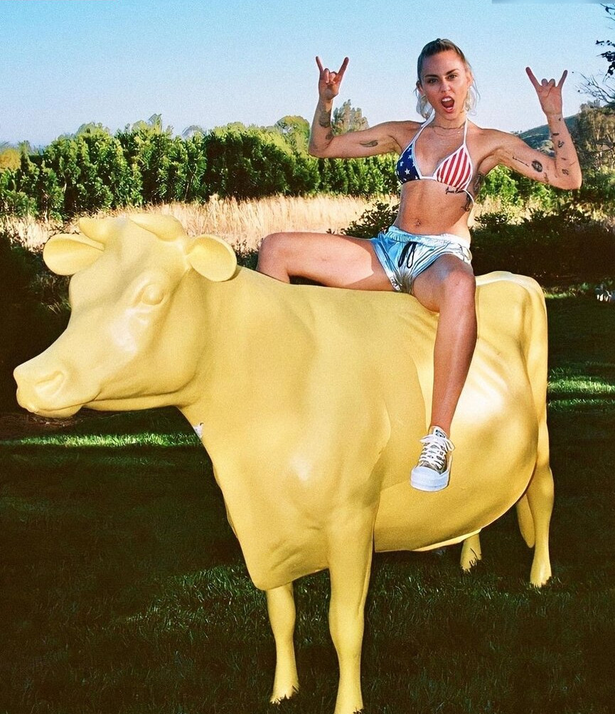 miley-cyrus gallery photo #679