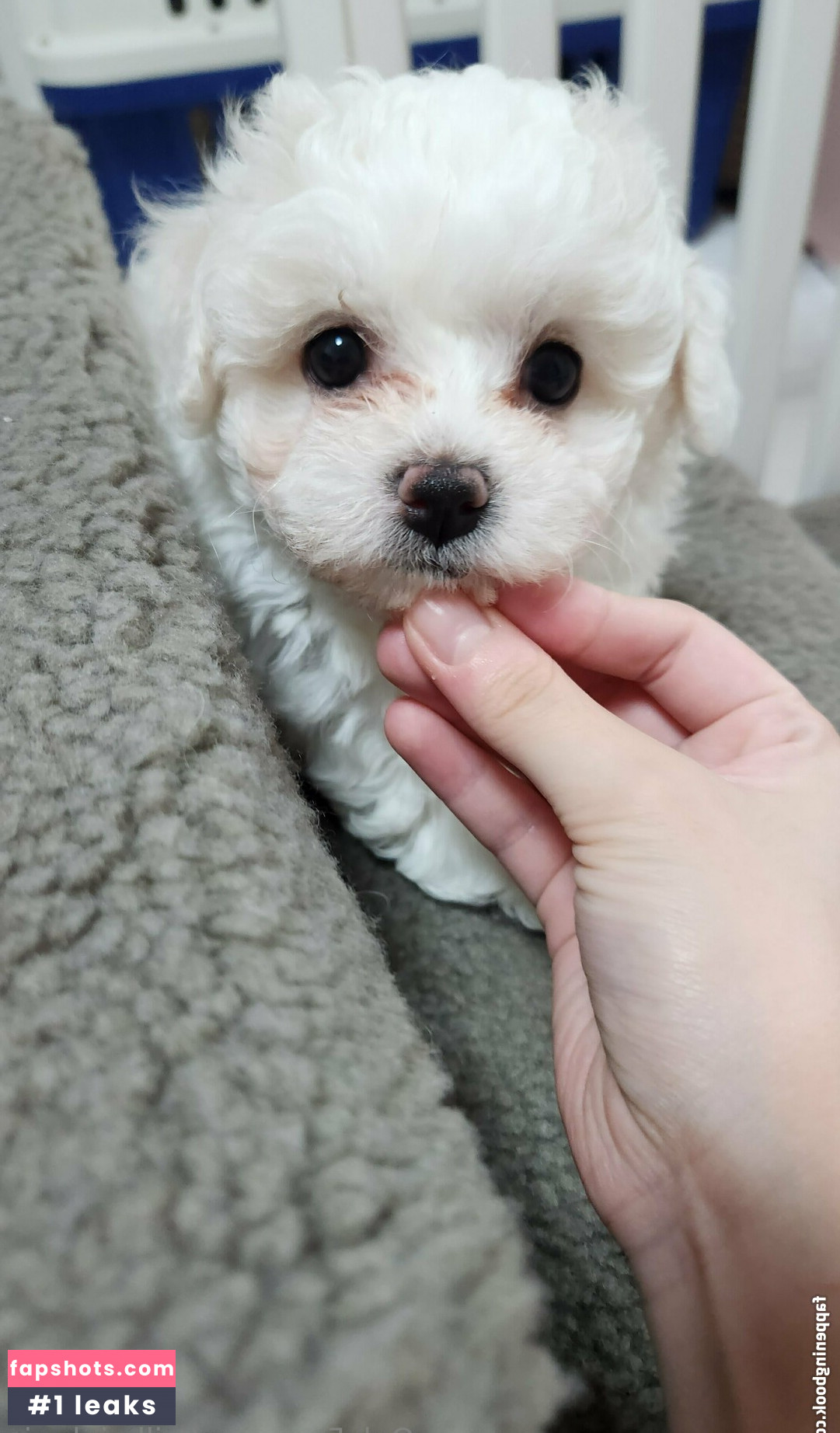 milkpink_sia Nahé úniky fotek pouze od fanoušků #81 - Fapshots