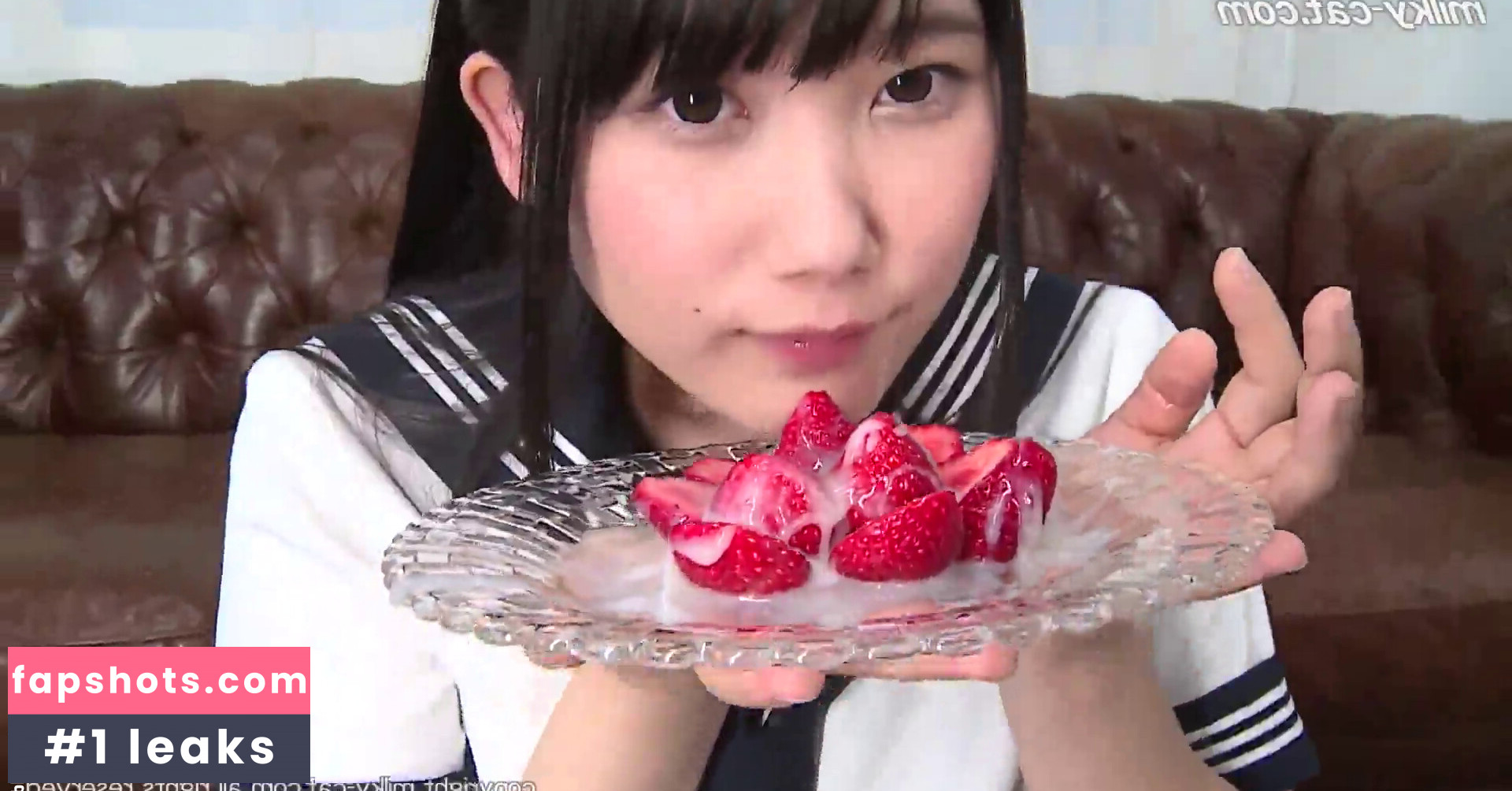 milky-cat gallery photo #7