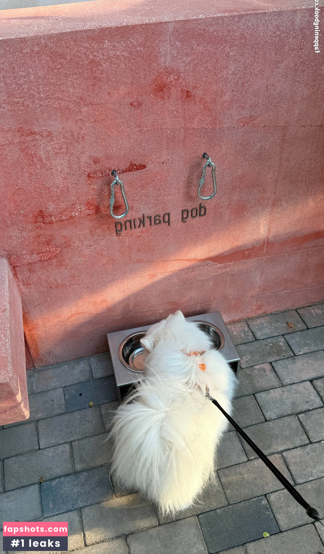 milla_snake Nude Leaks OnlyFans Photos #2 - LeakJerk