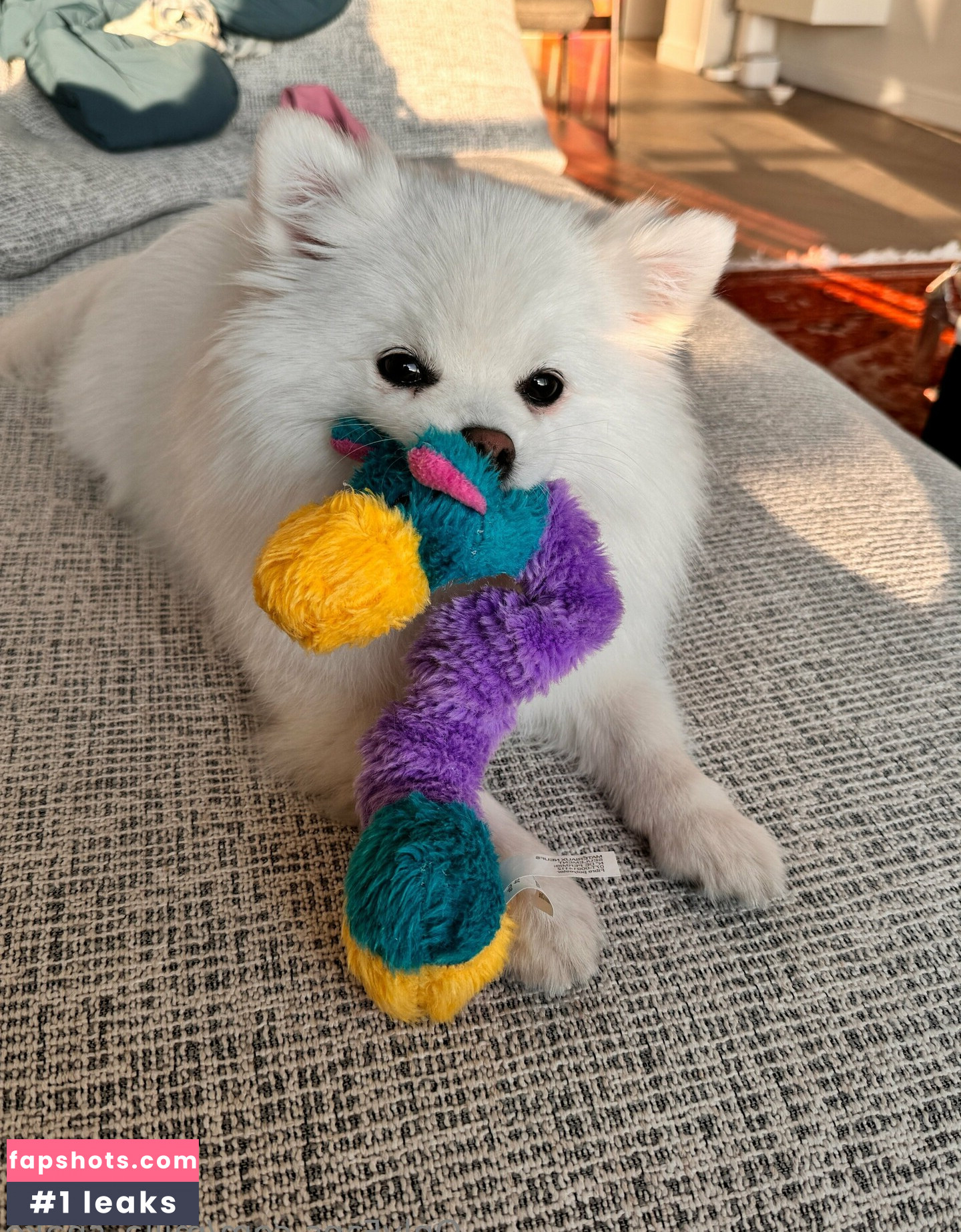 milla_snake Nude Leaks OnlyFans Photos #13 - LeakJerk