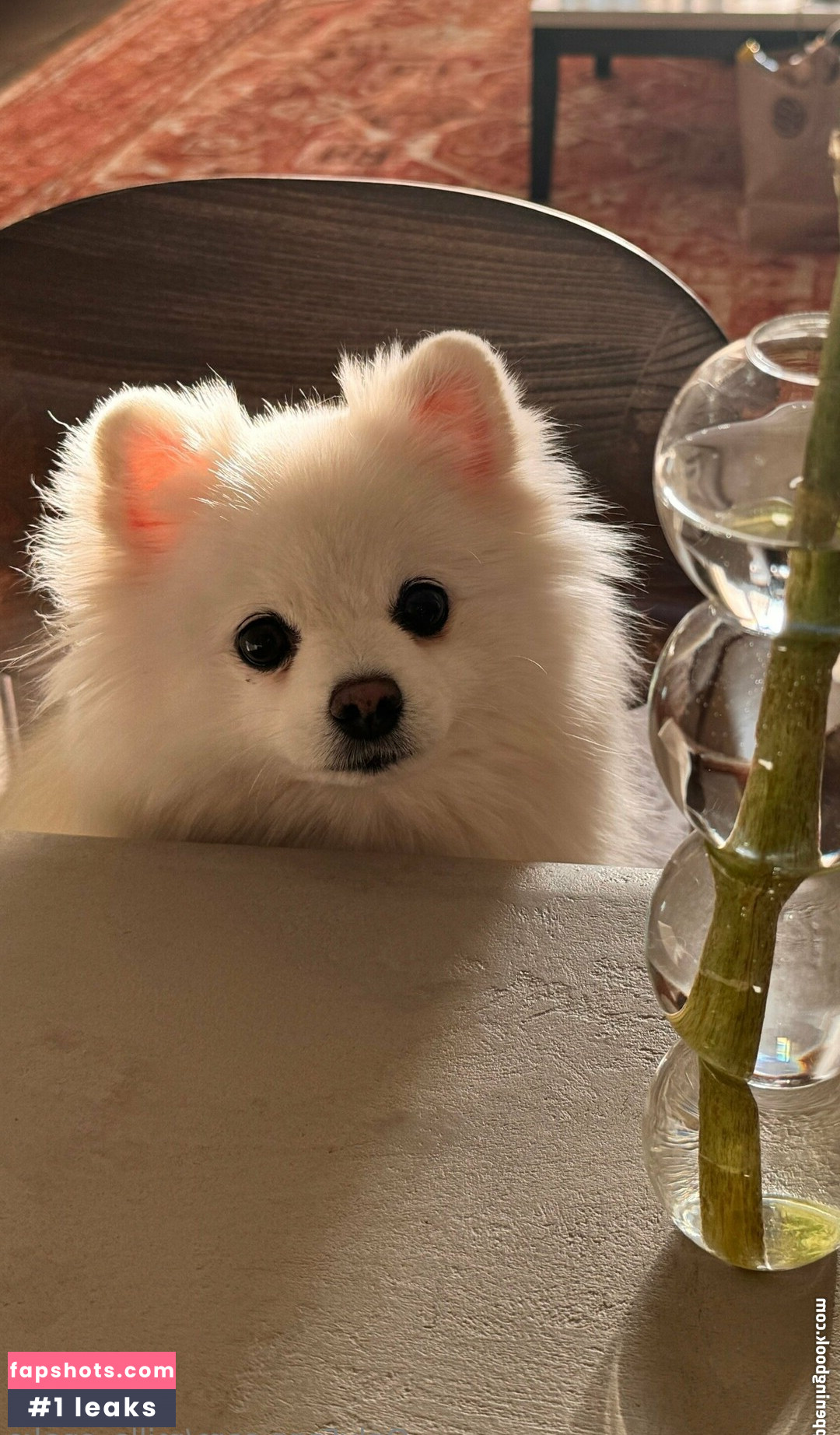 milla_snake Nude Leaks OnlyFans Photos #14 - LeakJerk