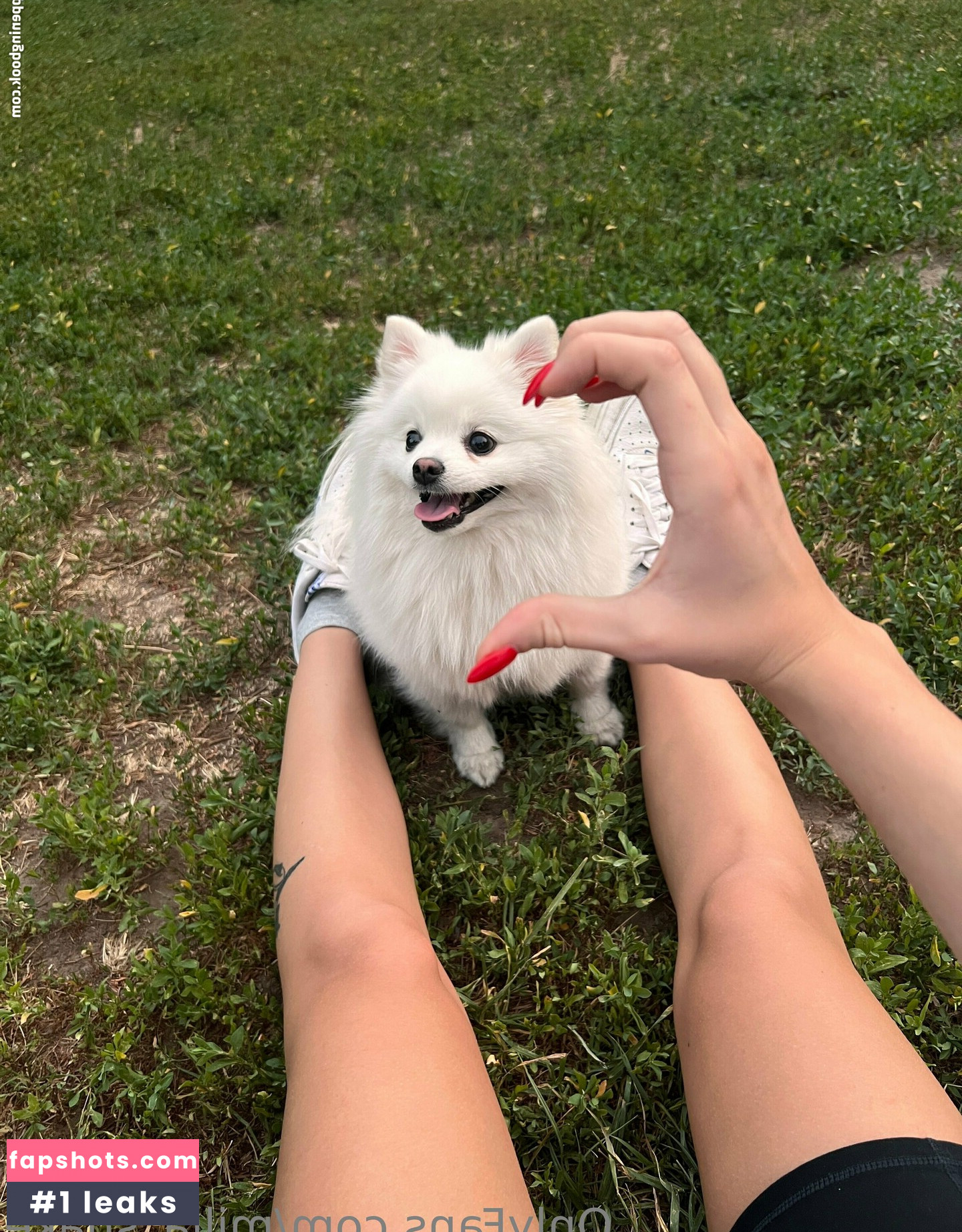 milla_snake Nude Leaks OnlyFans Photos #86 - LeakJerk