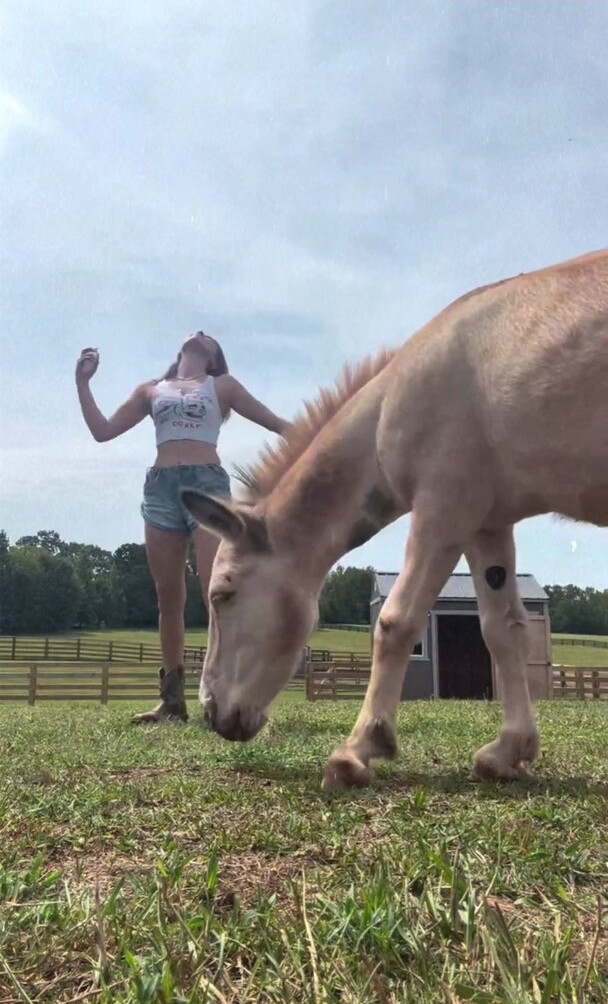 millie-bobby-brown-1 gallery photo #1789