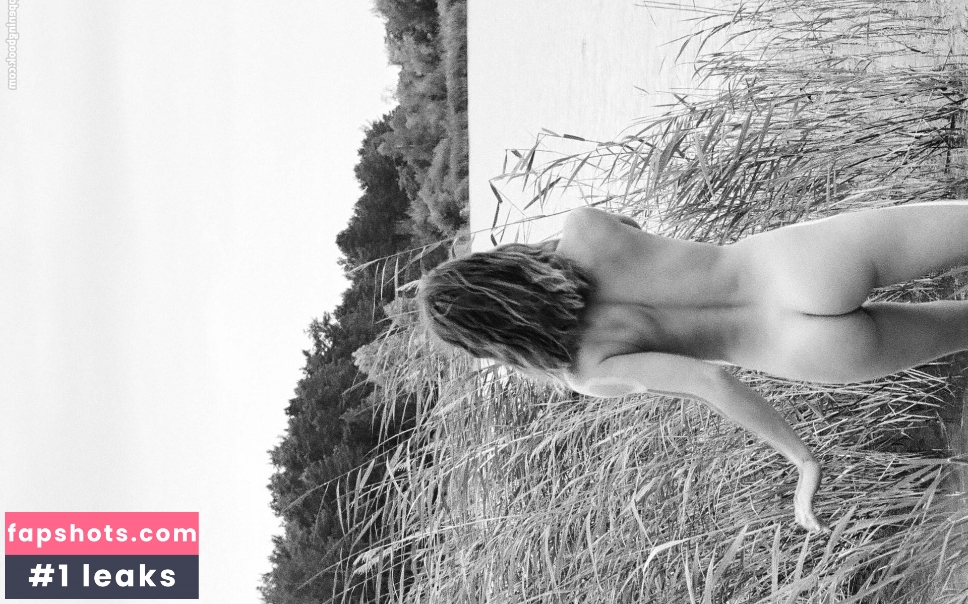 Mimi Elashiry gallery photo #18