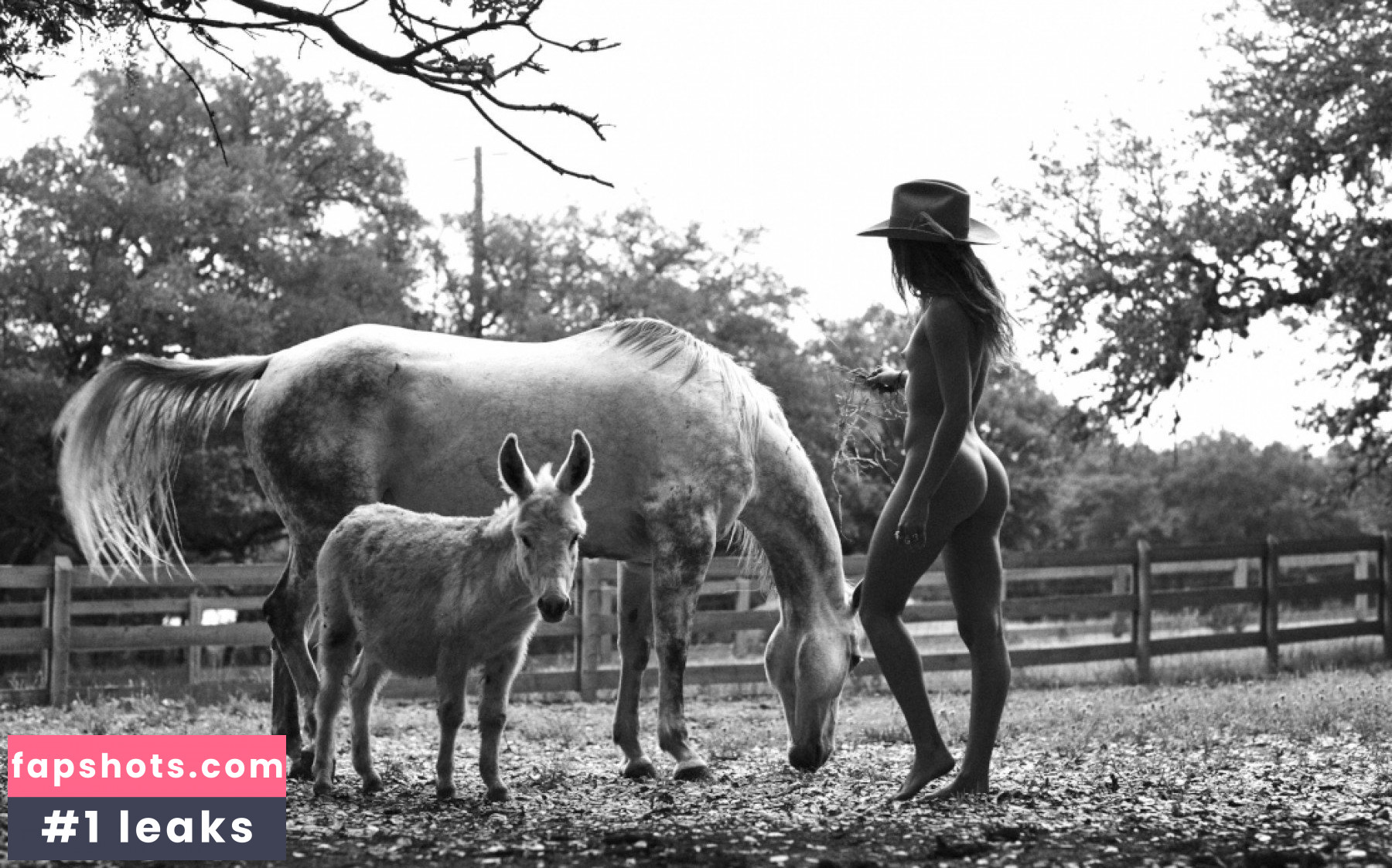 Mimi Elashiry gallery photo #90