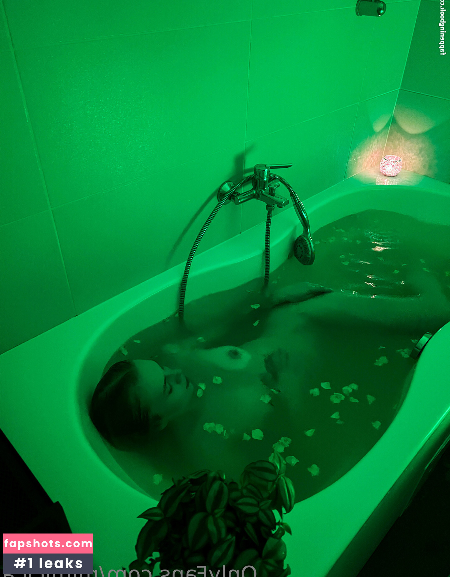 mimicica gallery photo #50