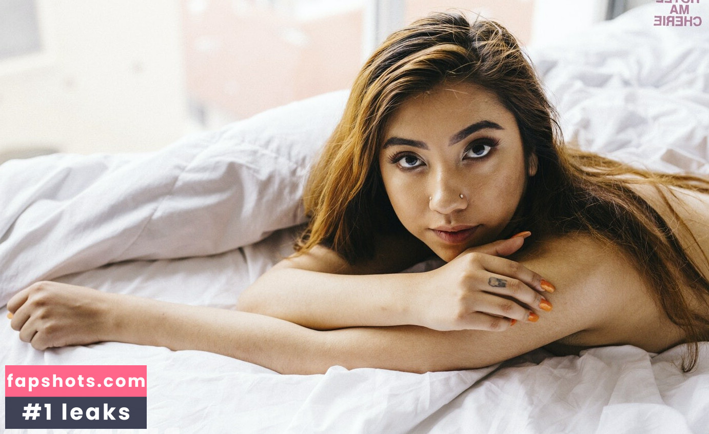 MIMP gallery photo #260