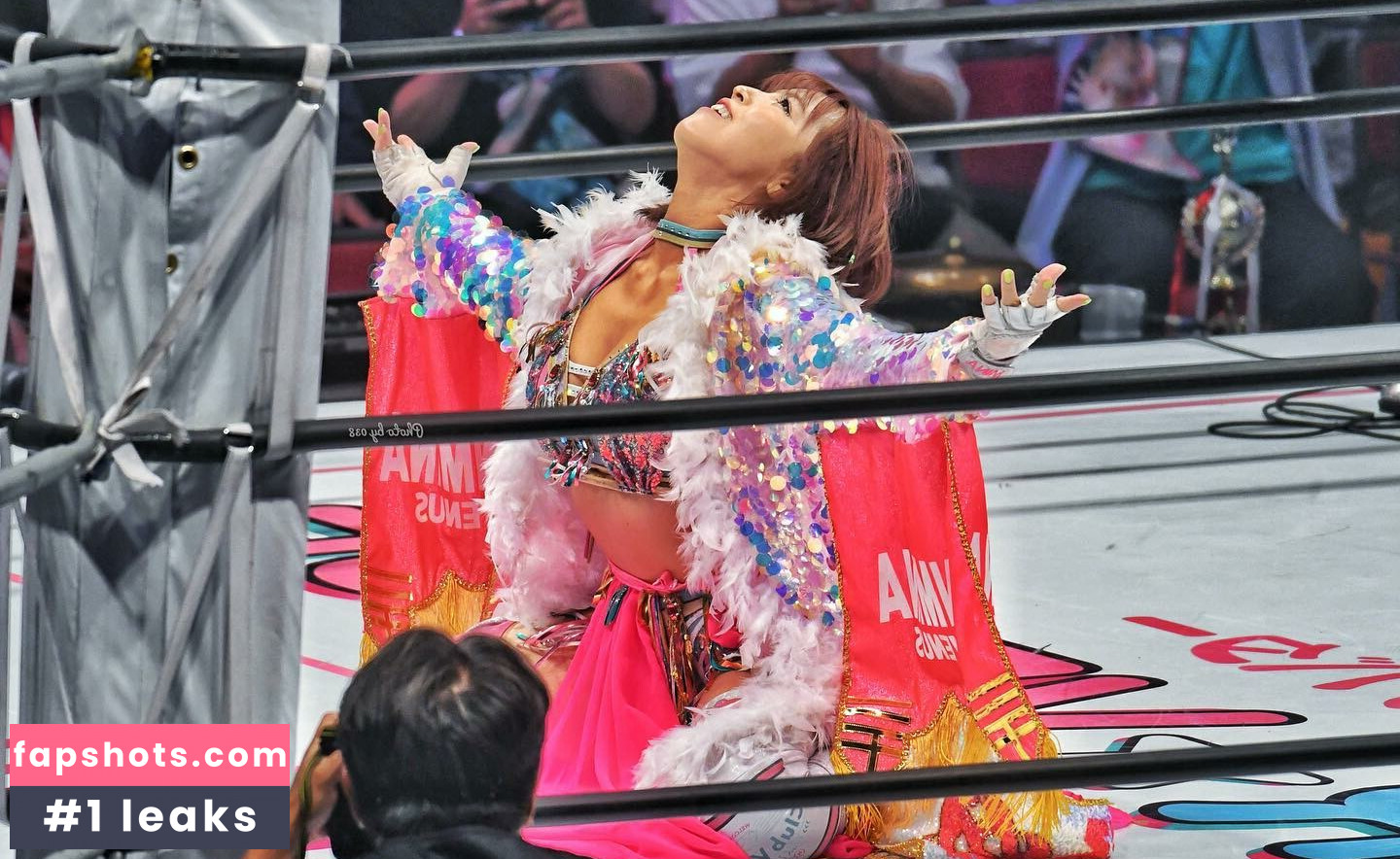 Mina Shirakawa gallery photo #167