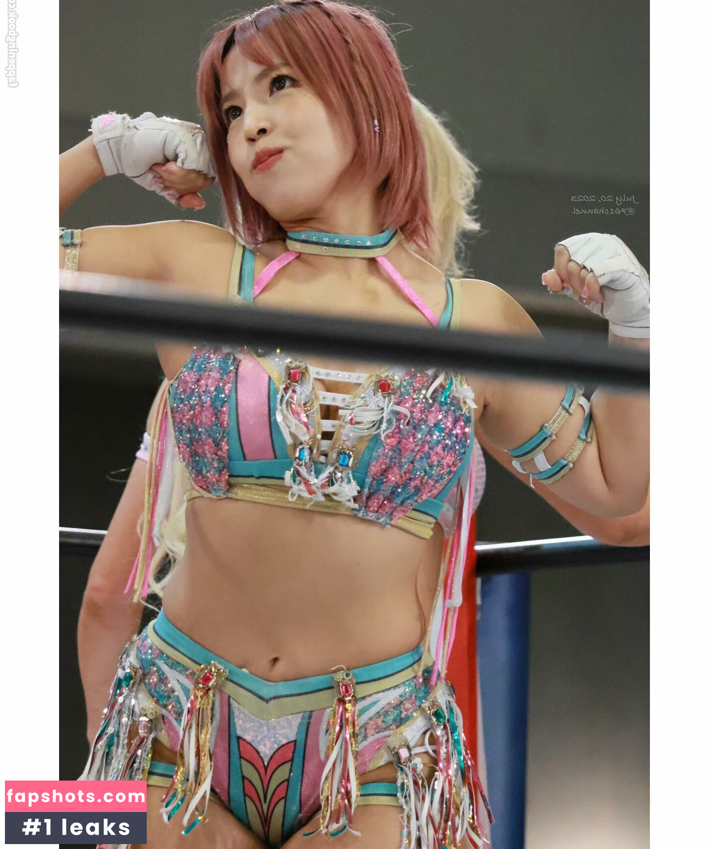 Mina Shirakawa gallery photo #222