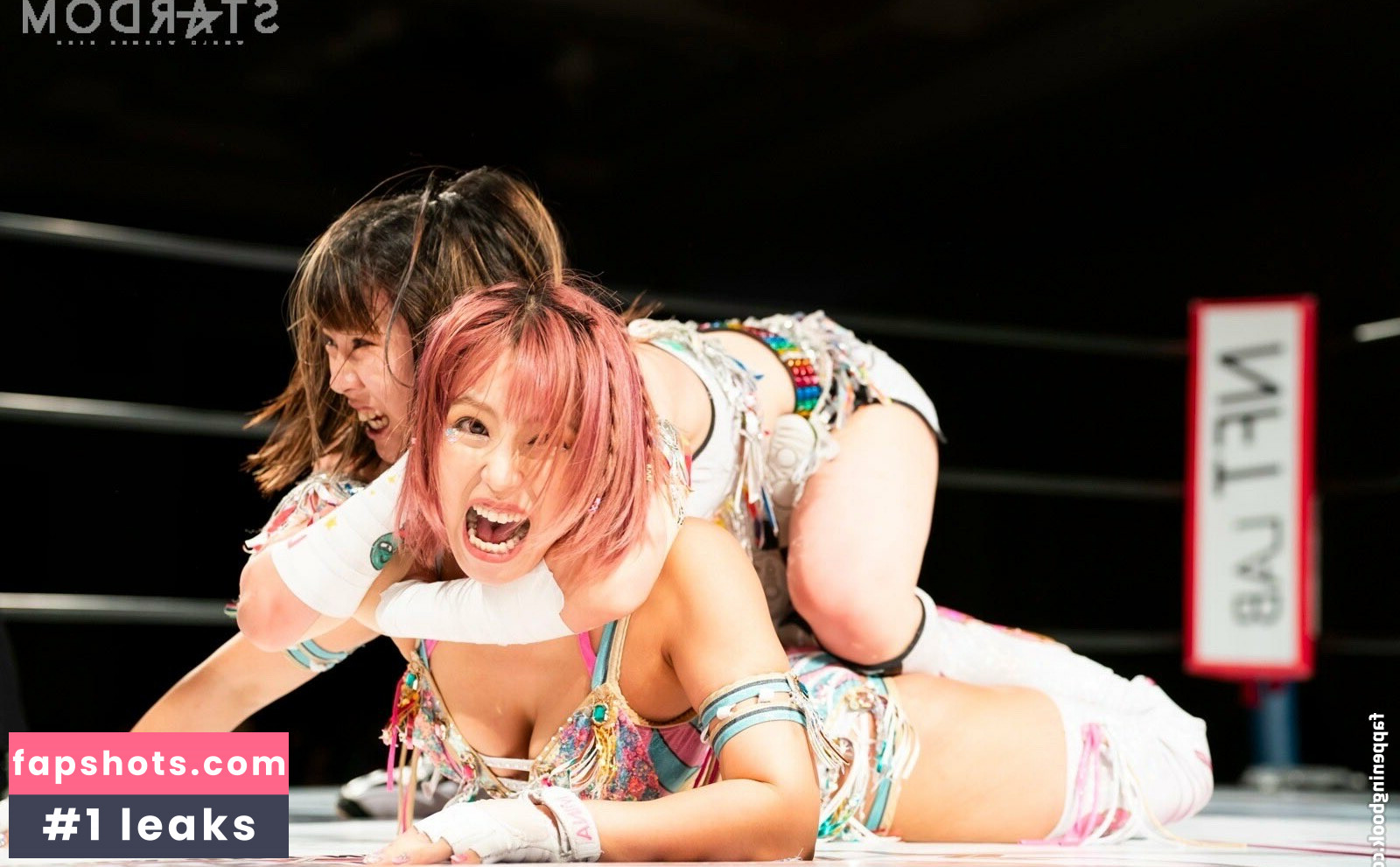 Mina Shirakawa gallery photo #247