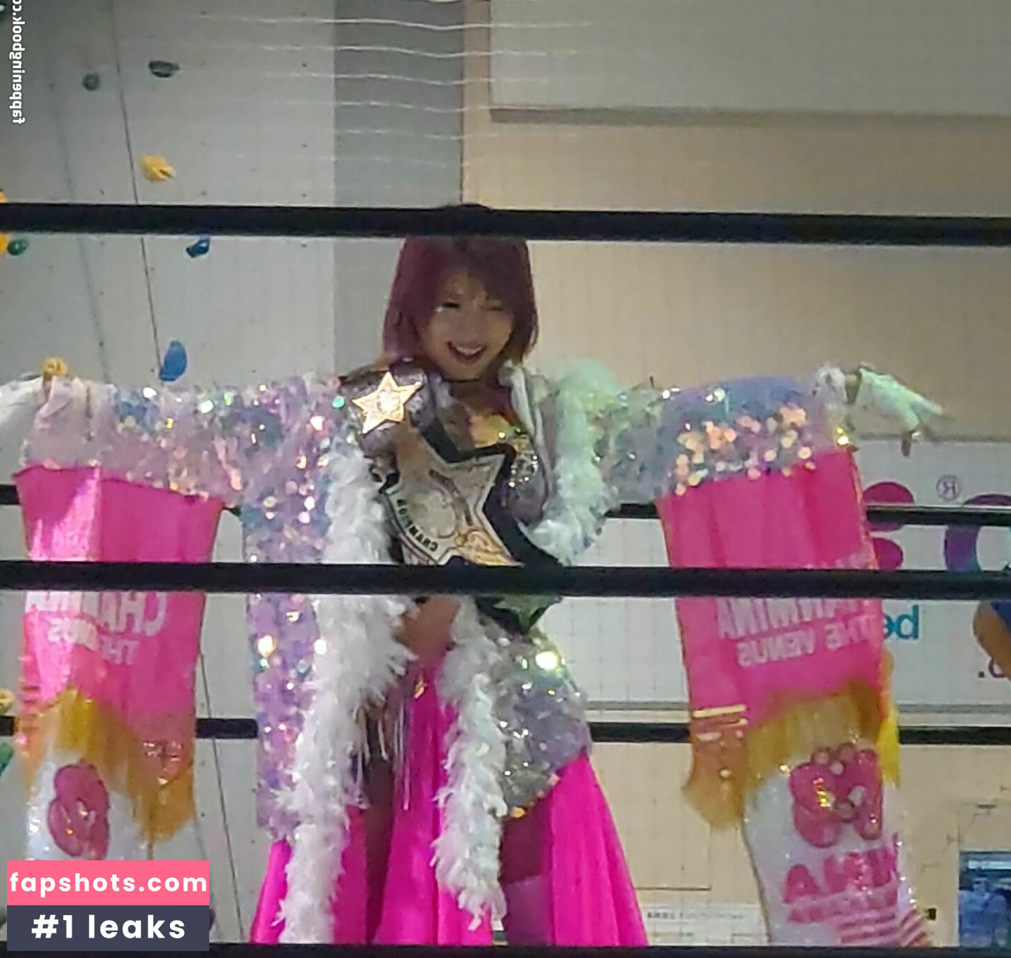 Mina Shirakawa gallery photo #249