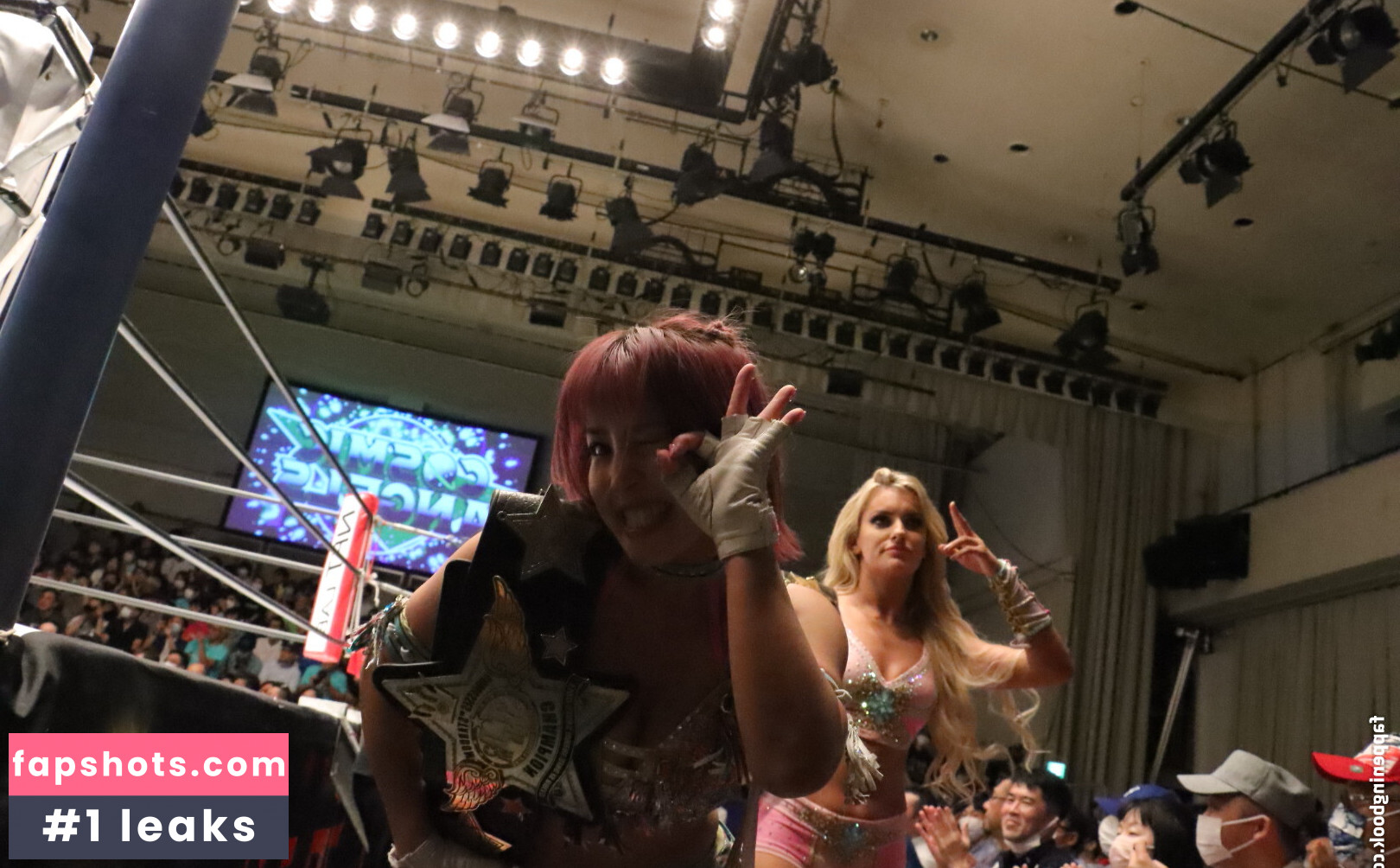 Mina Shirakawa gallery photo #263