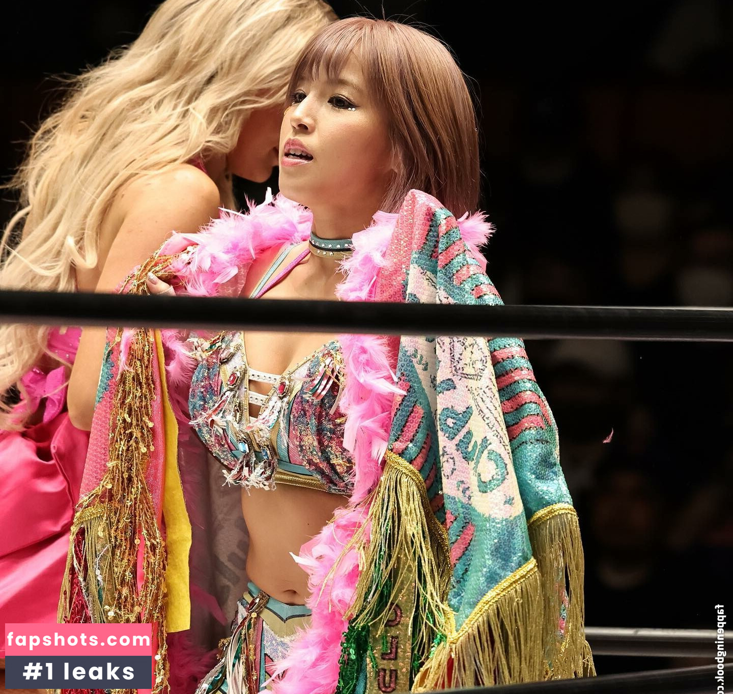 Mina Shirakawa gallery photo #290