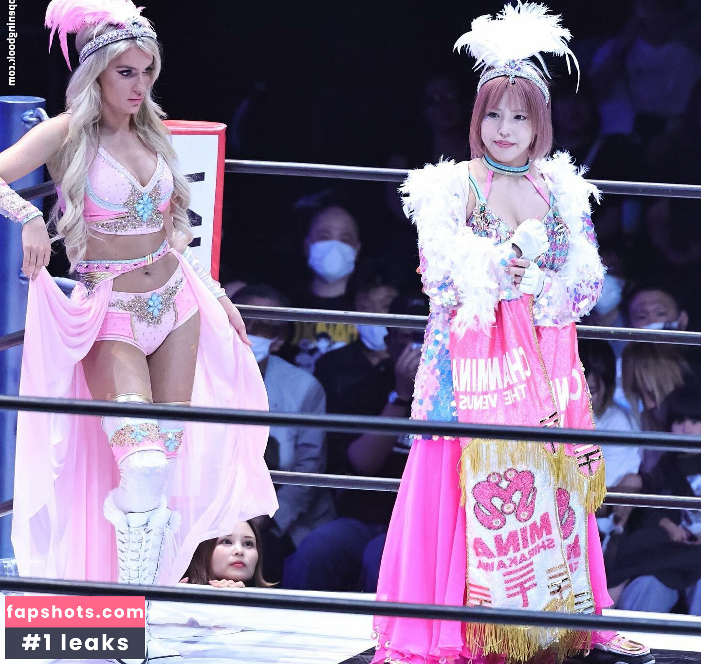 Mina Shirakawa gallery photo #292