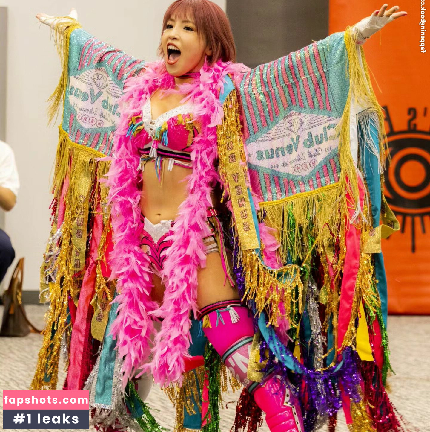 Mina Shirakawa gallery photo #322