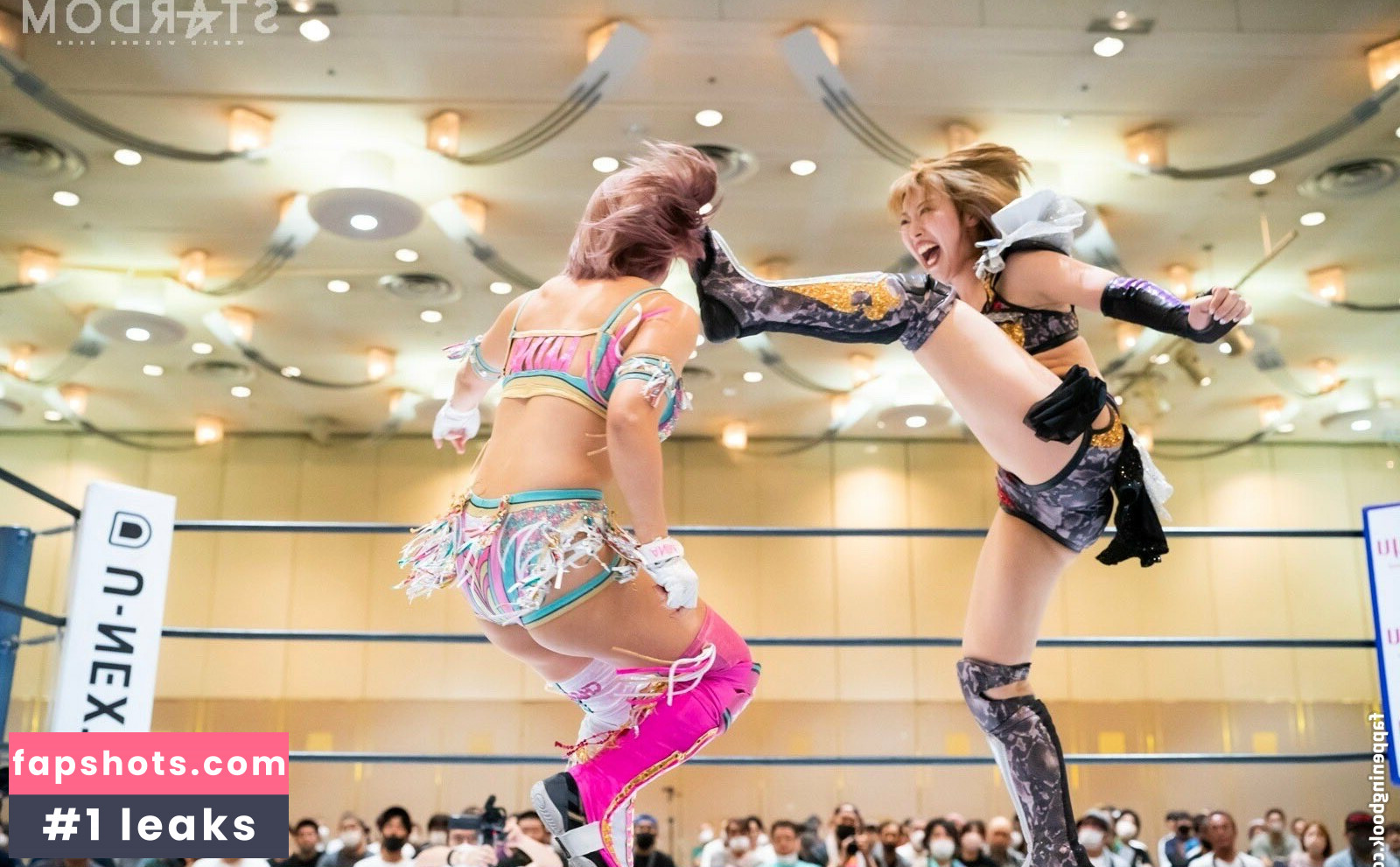 Mina Shirakawa gallery photo #357