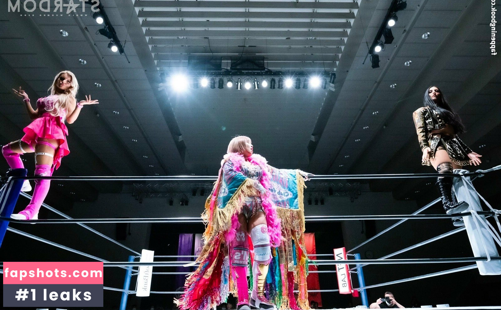 Mina Shirakawa gallery photo #361