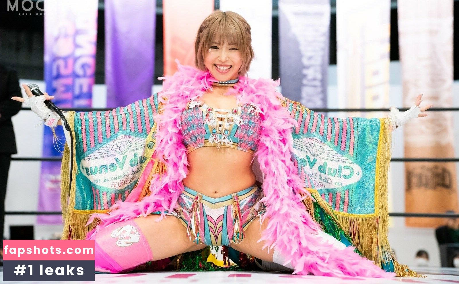 Mina Shirakawa gallery photo #367