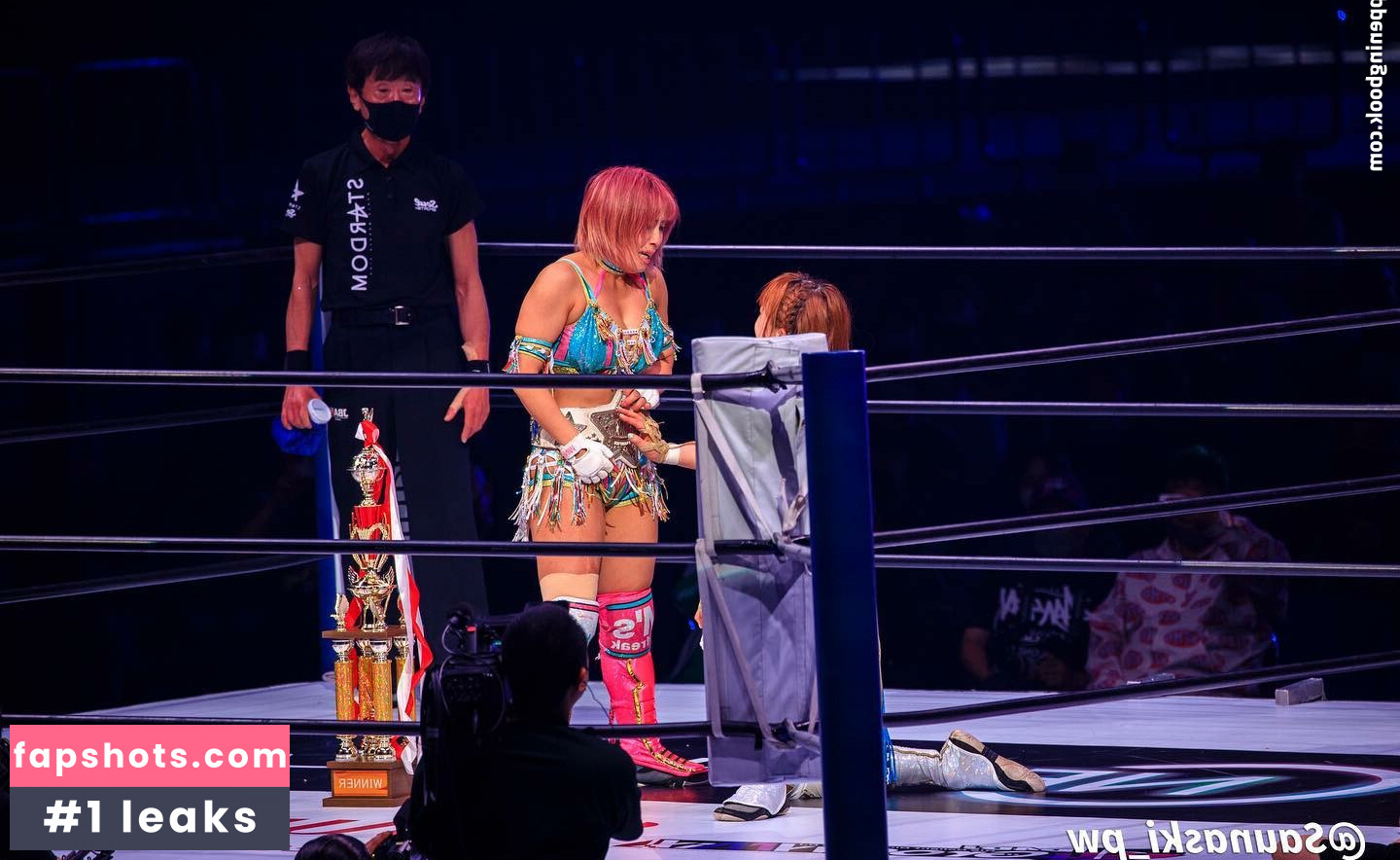 Mina Shirakawa gallery photo #446