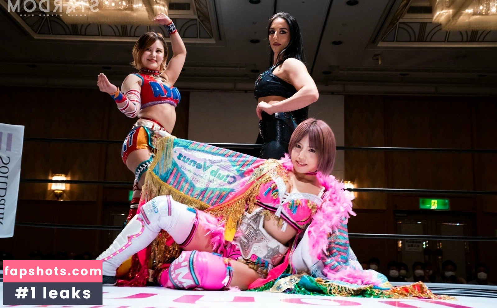 Mina Shirakawa gallery photo #473