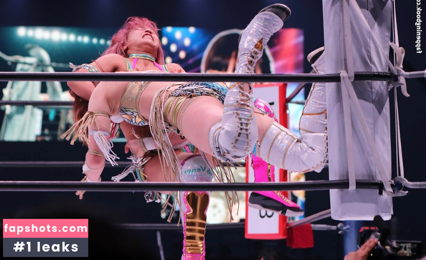 Mina Shirakawa gallery photo #507