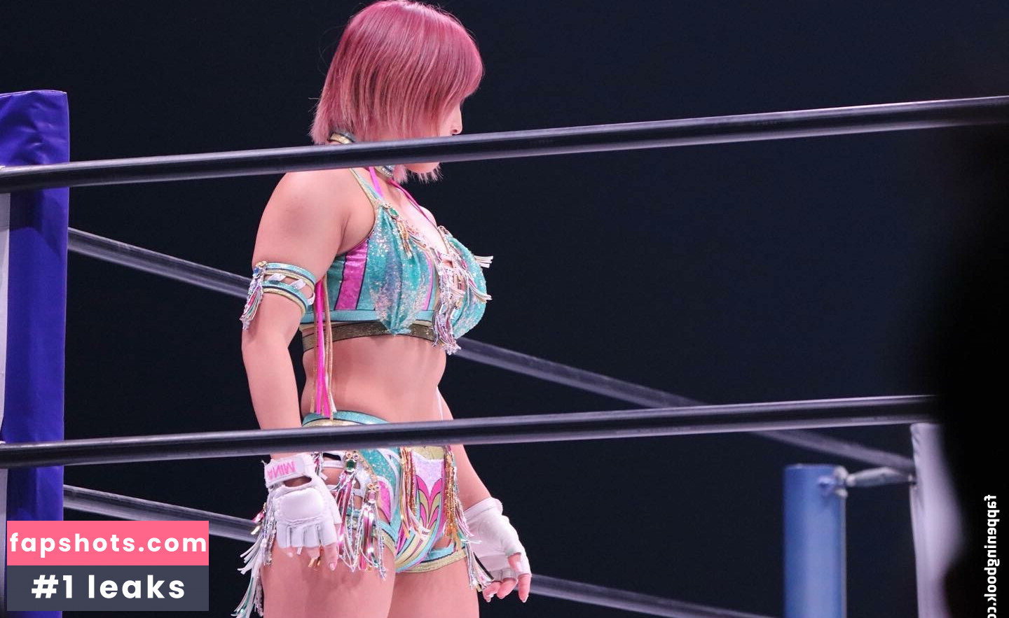 Mina Shirakawa gallery photo #510