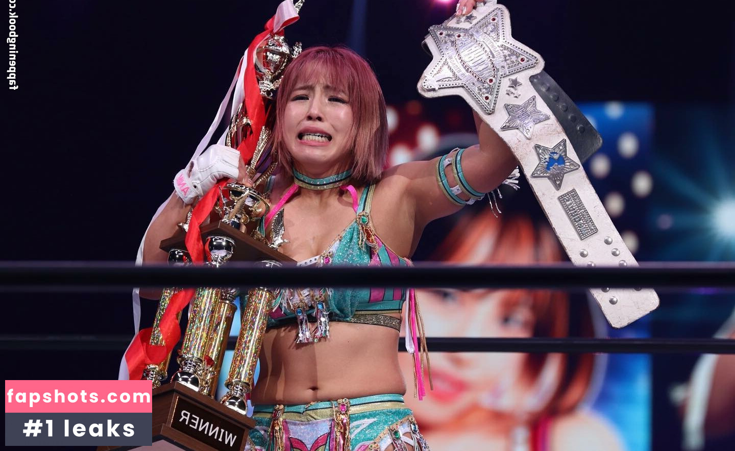 Mina Shirakawa gallery photo #511