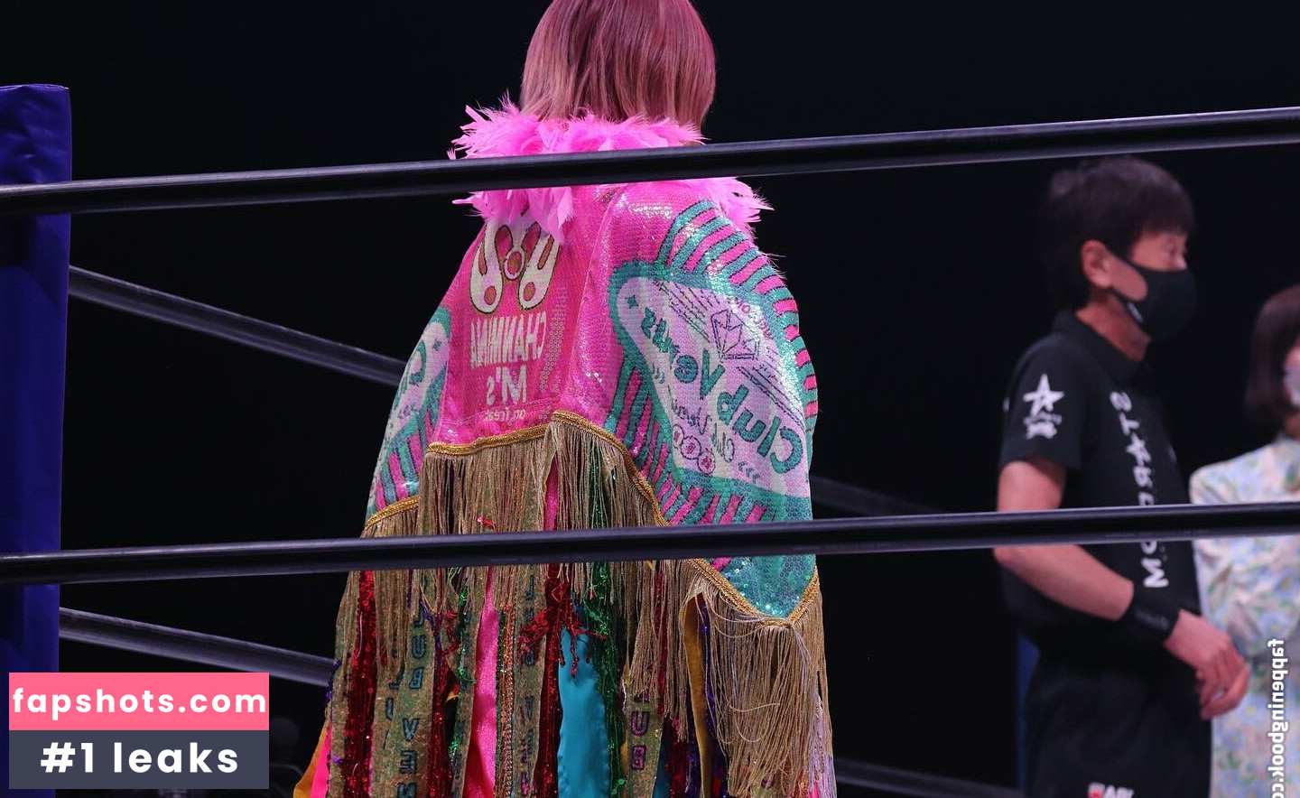 Mina Shirakawa gallery photo #528