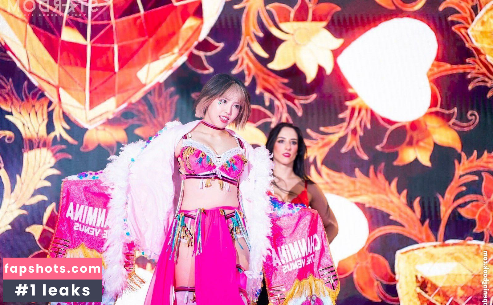 Mina Shirakawa gallery photo #570