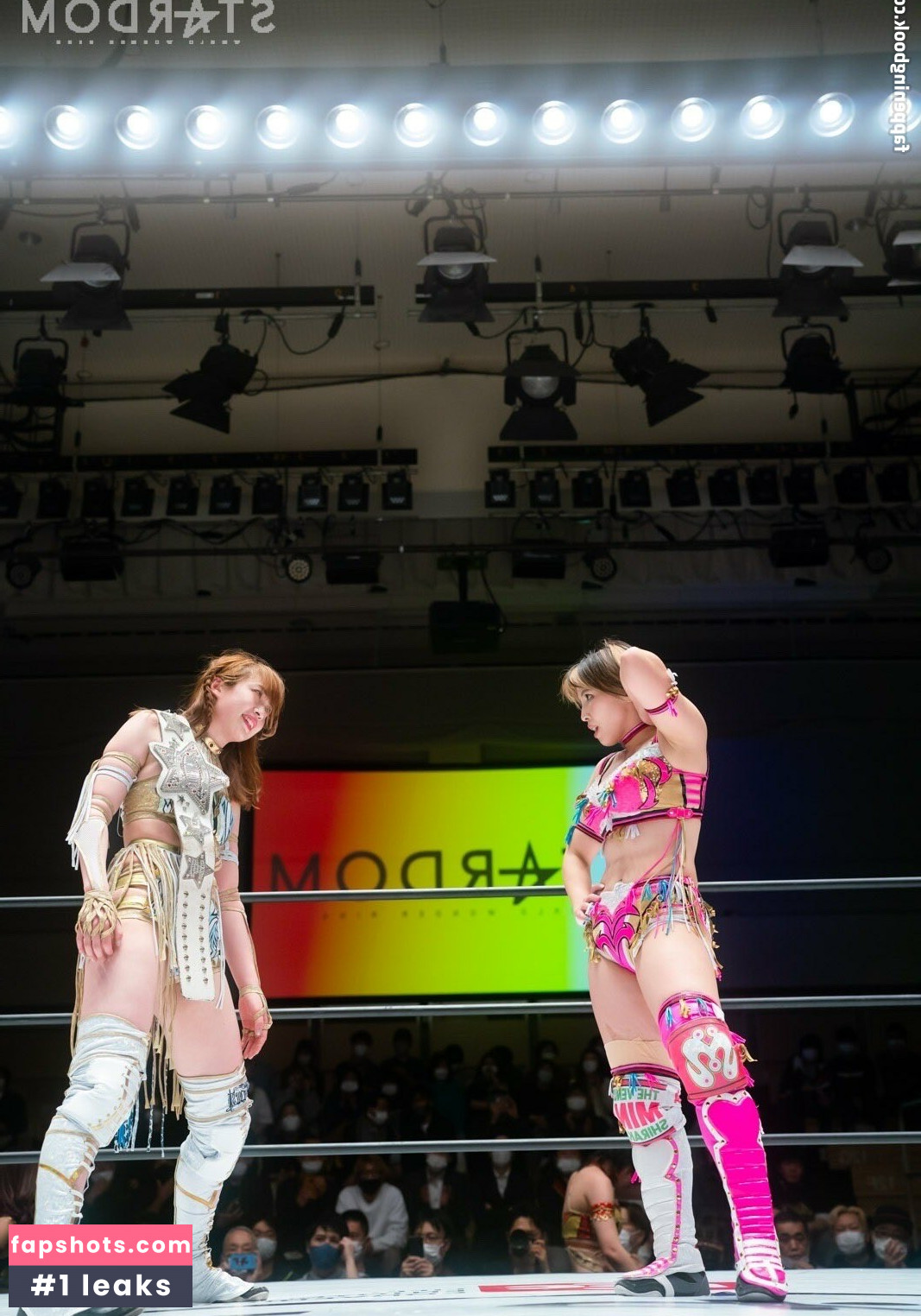 Mina Shirakawa gallery photo #580