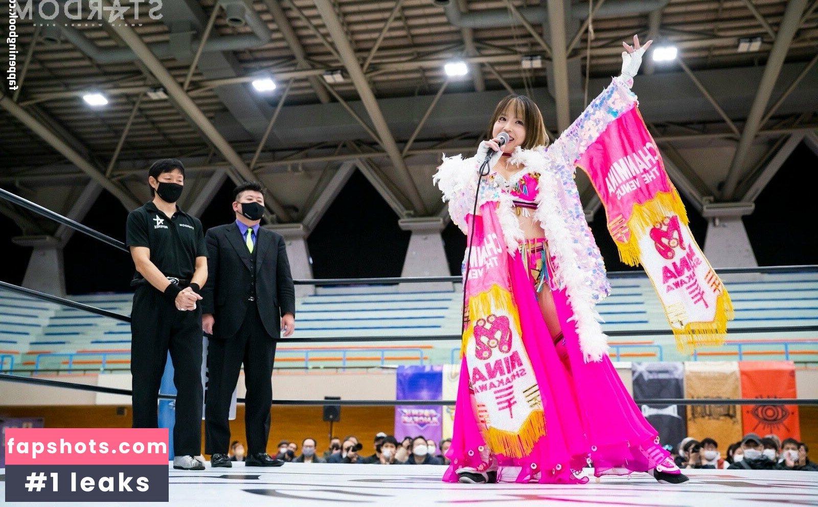 Mina Shirakawa gallery photo #588