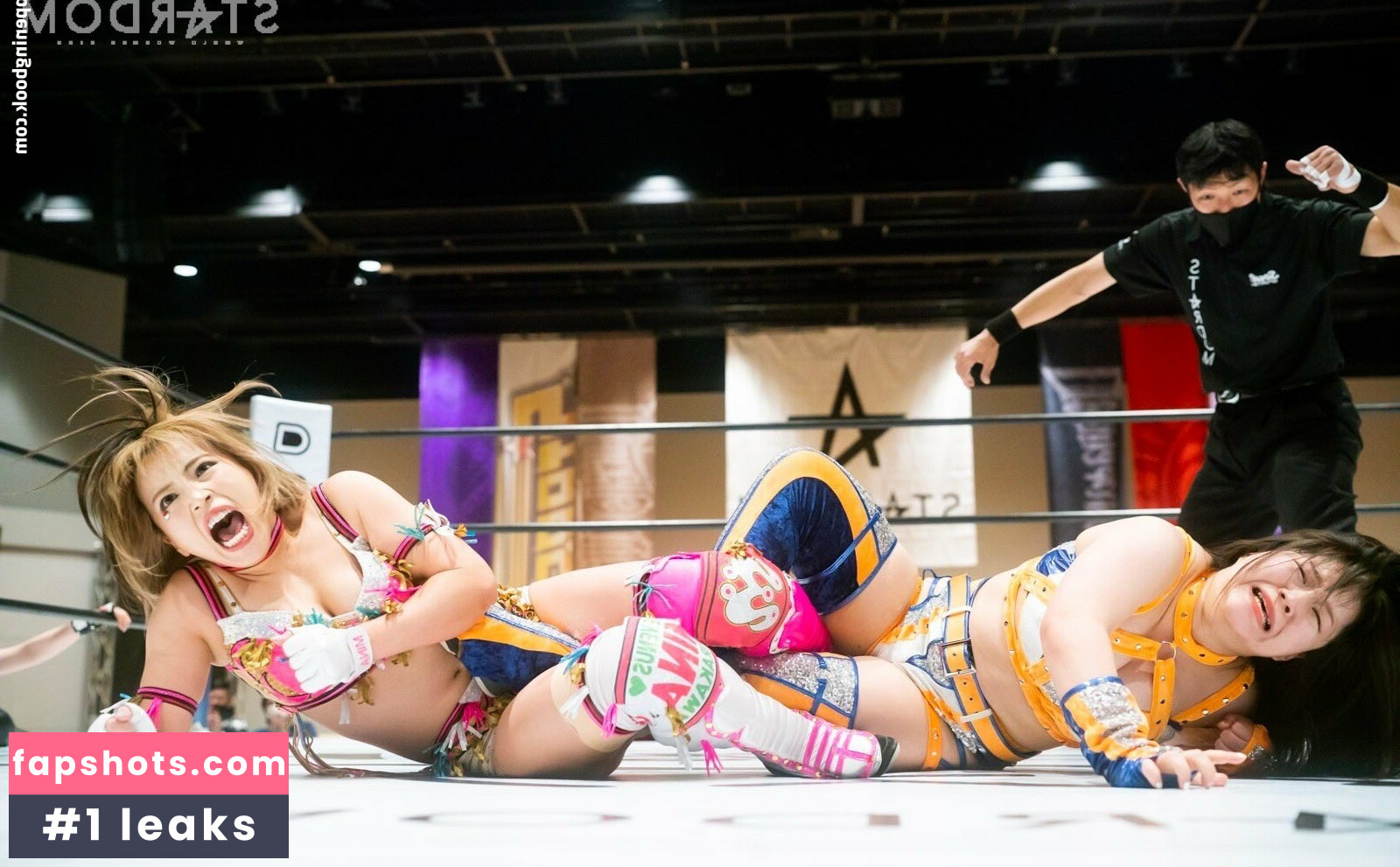 Mina Shirakawa gallery photo #593